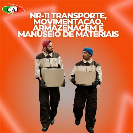 NR 11 - TRANSPORTE, MOVIMENTAÇÃO, ARMAZENAGEM E MANUSEIO DE MATERIAIS